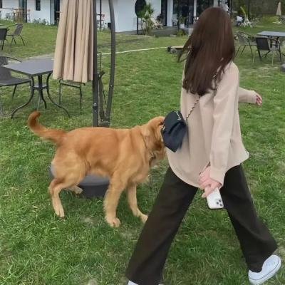 处处蓝天