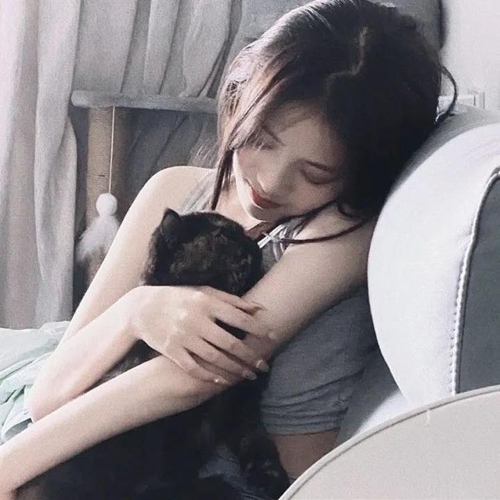 黑林城堡之犬